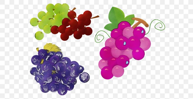Grape Seedless Fruit Fruit Grapevine Family Food, PNG, 600x424px, Watercolor, Food, Fruit, Grape, Grapevine Family Download Free