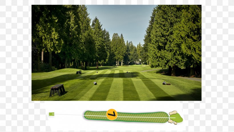 Golf Clubs Golf Course Recreation Lawn, PNG, 980x551px, Golf Clubs, Golf, Golf Club, Golf Course, Golf Equipment Download Free