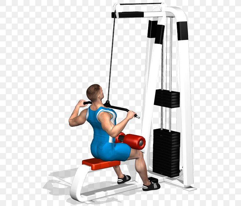 Latissimus Dorsi Muscle Fitness Centre Physical Fitness Pulldown Exercise, PNG, 700x700px, Watercolor, Cartoon, Flower, Frame, Heart Download Free