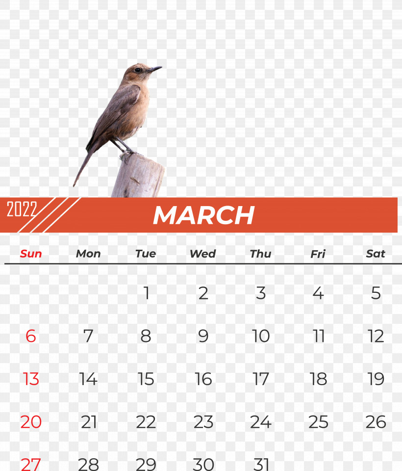 Birds Calendar Beak Font Meter, PNG, 5607x6569px, Birds, Beak, Biology, Calendar, Meter Download Free