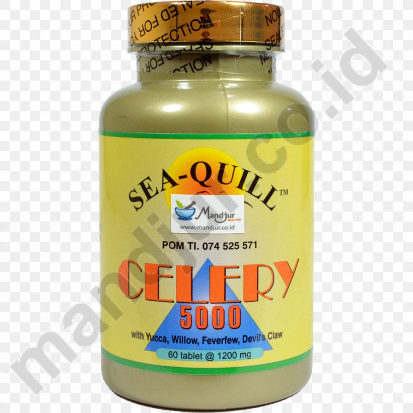 Omega-3 Fatty Acids Fish Oil Salmon Softgel Lachsöl, PNG, 1000x1000px, Omega3 Fatty Acids, Capsule, Cholesterol, Dietary Supplement, Docosahexaenoic Acid Download Free