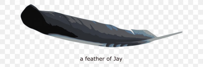 Shoe Angle, PNG, 2400x800px, Shoe, Feather, Wing Download Free