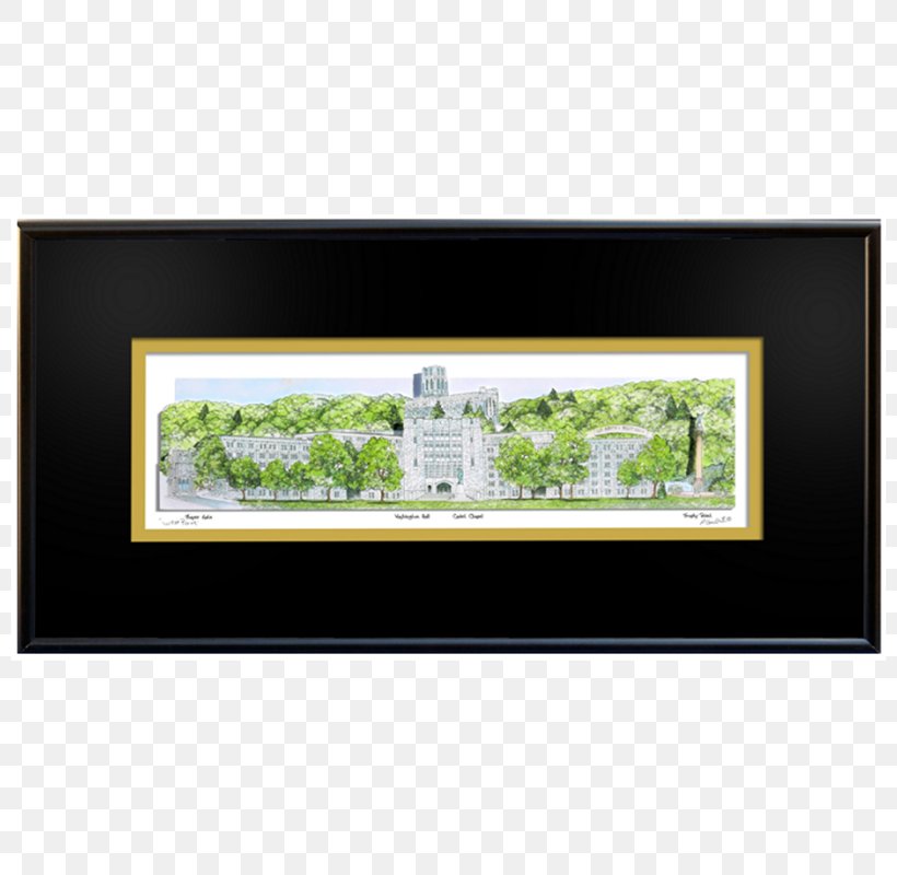 Bowling Green State University Columbus State Cougars Men's Basketball Columbus State University Clemson University Picture Frames, PNG, 800x800px, Bowling Green State University, Artist, Clemson, Clemson University, College Download Free