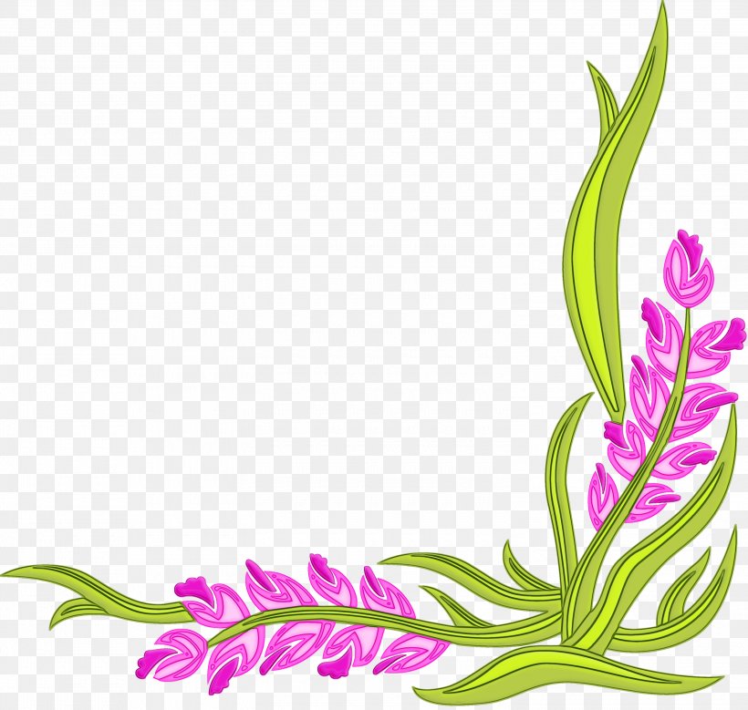 Flower Plant Pedicel Cut Flowers Gladiolus, PNG, 3000x2851px, Watercolor, Cut Flowers, Flower, Gladiolus, Paint Download Free