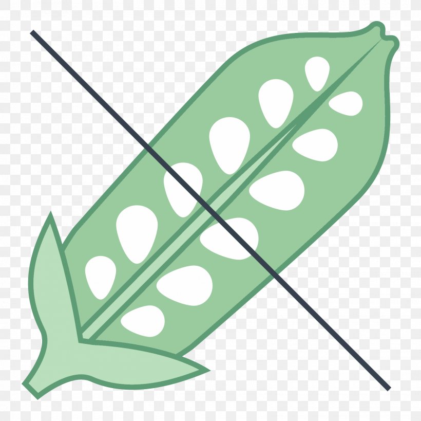 Leaf Plant Stem Clip Art, PNG, 1600x1600px, Leaf, Grass, Green, Plant, Plant Stem Download Free