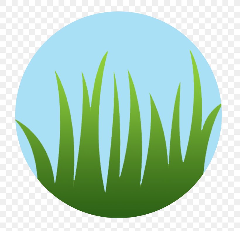 Logo Grasses Circle Leaf Font, PNG, 813x789px, Logo, Family, Grass, Grass Family, Grasses Download Free
