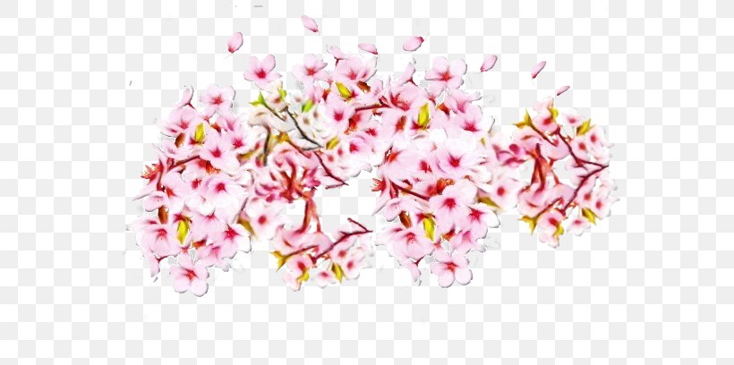 Cherry Blossom, PNG, 640x408px, Watercolor, Blossom, Branch, Cherry Blossom, Cut Flowers Download Free