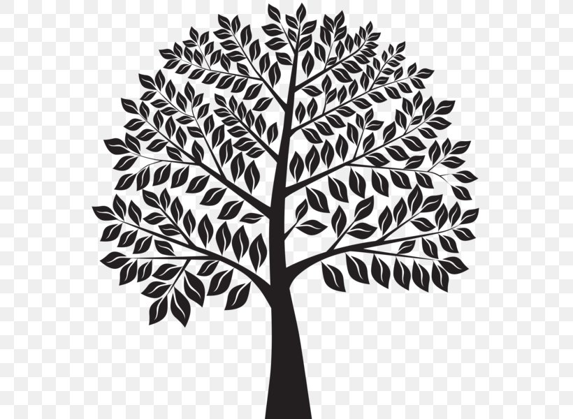 Ecology Natural Environment Royalty-free, PNG, 561x600px, Ecology, Black And White, Branch, Drawing, Flora Download Free