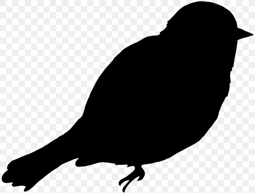 Beak Finches American Sparrows Clip Art Fauna, PNG, 1181x896px, Beak, American Sparrows, Bird, Blackbird, Crow Download Free