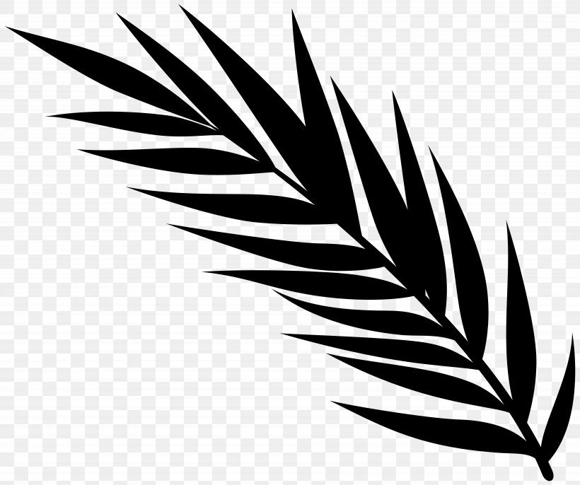 Flowering Plant Clip Art Line Leaf, PNG, 8000x6702px, Flower, Blackandwhite, Botany, Branching, Feather Download Free