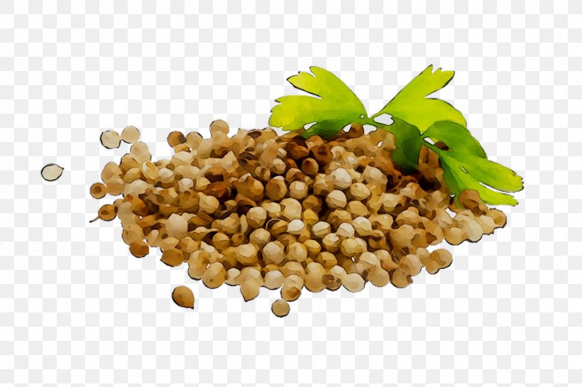 Seasoning Vegetarian Cuisine Food Greens Commodity, PNG, 1568x1044px, Seasoning, Commodity, Coriander, Cuisine, Dish Download Free