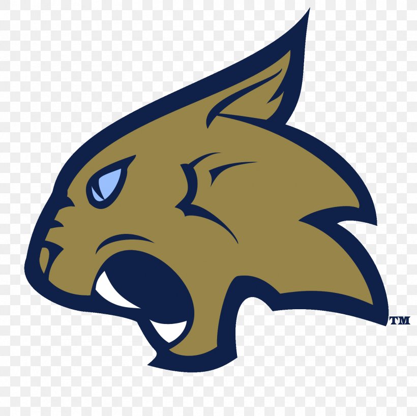 Thiel College Tomcats Football Thiel College Tomcats Men's Basketball D'Youville College Presidents' Athletic Conference, PNG, 1721x1718px, Thiel College, American Football, Carnivoran, Cartoon, College Download Free