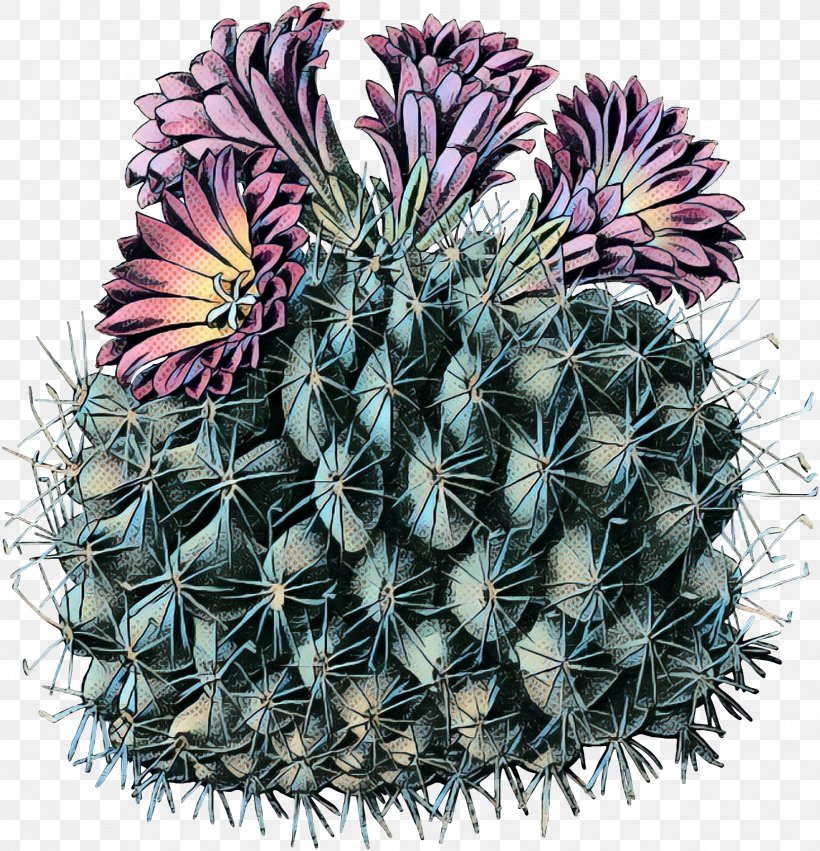 A Saguaro Cactus Succulent Plant Turbinicarpus Plants, PNG, 1733x1800px, Cactus, Agave, Botany, Bunny Ears Cactus, Caryophyllales Download Free