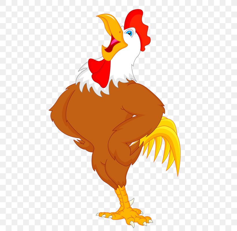 Chicken Drawing Rooster Clip Art, PNG, 492x800px, Chicken, Art, Beak, Bird, Cartoon Download Free