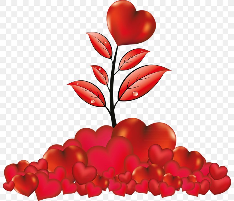 Flower Heart Clip Art, PNG, 800x705px, Flower, Data Compression, Food, Fruit, Heart Download Free