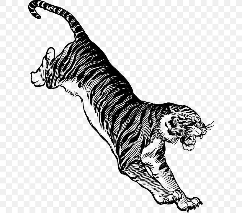 Felidae Cat Drawing Jumping Clip Art, PNG, 630x720px, Felidae, Animal, Animal Figure, Art, Big Cat Download Free