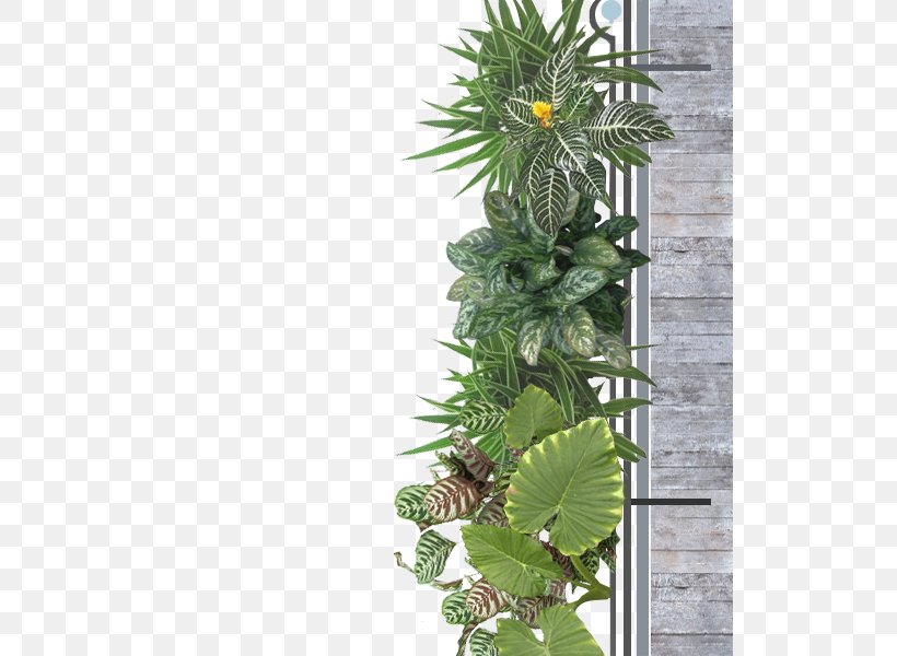 Flowerpot Houseplant Tree, PNG, 600x600px, Flowerpot, Flower, Houseplant, Plant, Tree Download Free