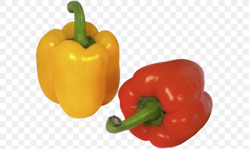 Bell Pepper Chili Pepper Vegetable Food, PNG, 600x491px, Bell Pepper, Bell Peppers And Chili Peppers, Black Pepper, Capsicum, Capsicum Annuum Download Free