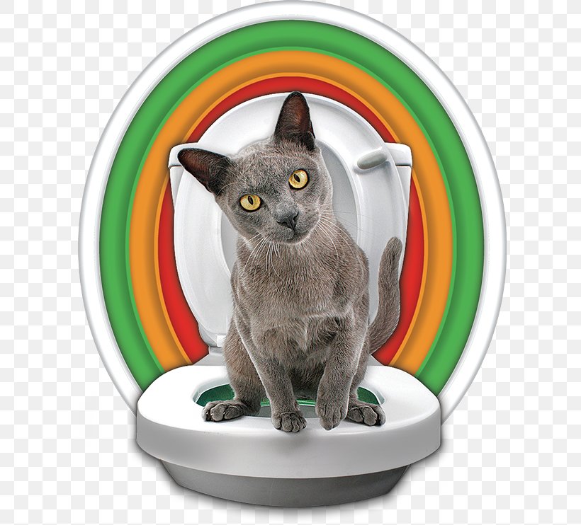 Cat Litter Trays Kitten Toilet Training, PNG, 611x742px, Cat, Bathroom, Box, Carnivoran, Cat Behavior Download Free
