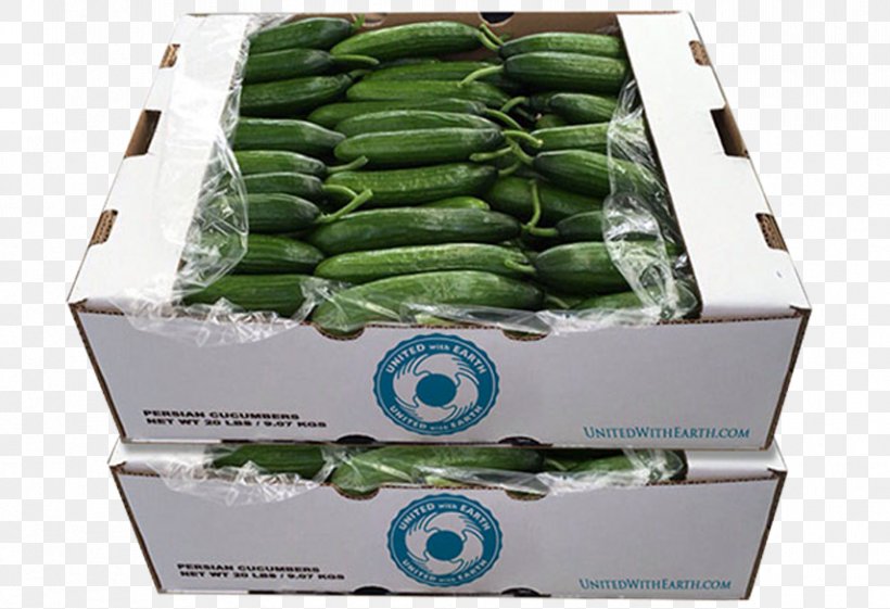 Cucumber Celebrity Chef Box United With Earth, Corp., PNG, 856x586px, Cucumber, Box, Celebrity, Celebrity Chef, Chef Download Free