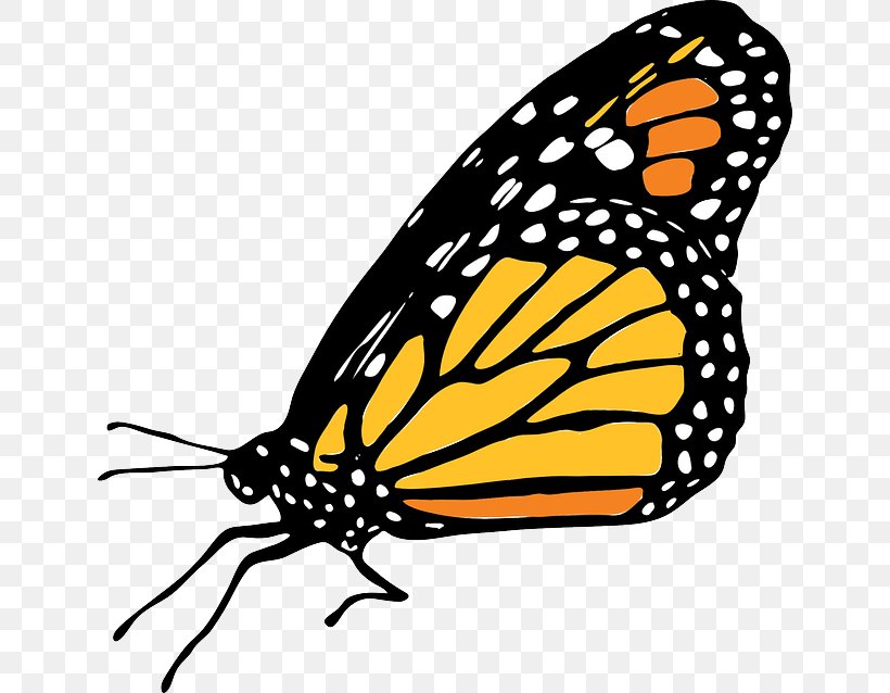 Monarch Butterfly Insect Clip Art, PNG, 640x638px, Butterfly, Arthropod, Artwork, Brush Footed Butterfly, Butterflies And Moths Download Free