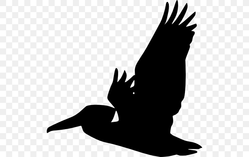 Pelican Silhouette Vector Graphics Clip Art Illustration, PNG, 512x519px, Pelican, Art, Beak, Bird, Bird Of Prey Download Free