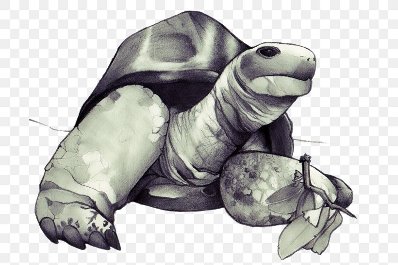 Sea Turtle Reptile Vertebrate Drawing, PNG, 700x545px, Turtle, Animal, Cartoon, Character, Drawing Download Free