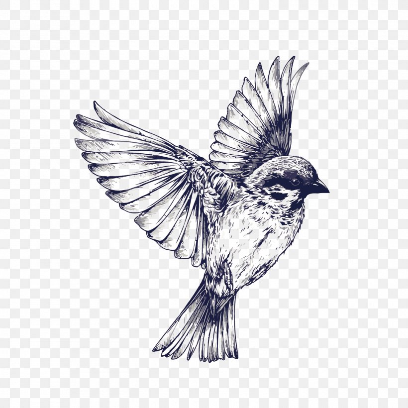 Bird Flight Tattoo Drawing Swallow, PNG, 1500x1500px, Bird, Beak, Bird Flight, Black And White, Blackandgray Download Free