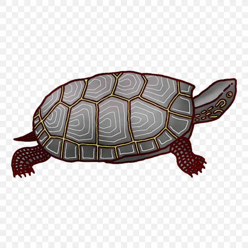 Box Turtles Sea Turtle Tortoise Turtles Sea, PNG, 1400x1400px, Watercolor, Biology, Box Turtles, Paint, Reptiles Download Free
