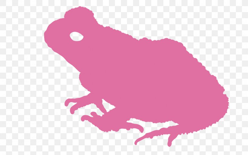 Clip Art Silhouette Beak Pink M, PNG, 1500x938px, Silhouette, Amphibian, Beak, Frog, Magenta Download Free