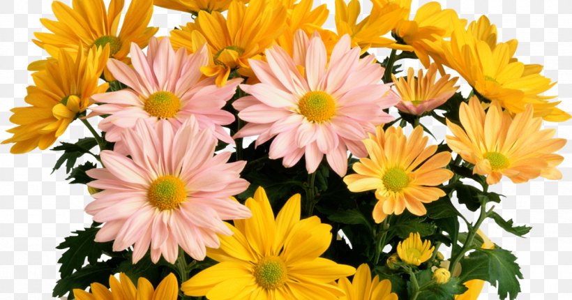 Flower Bouquet Floral Design Clip Art, PNG, 1200x630px, Flower Bouquet, Annual Plant, Aster, Birthday, Chrysanths Download Free
