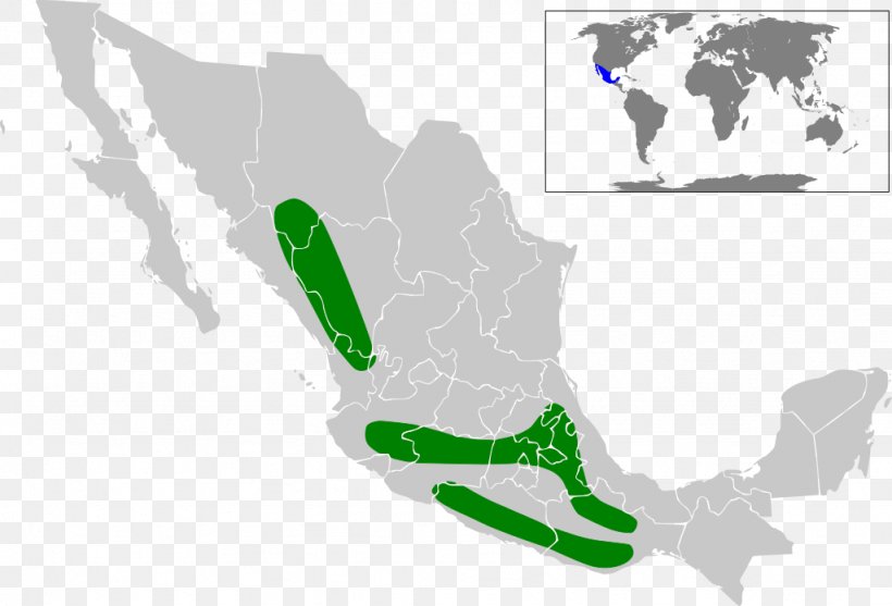 Mexico City Tenochtitlan Administrative Divisions Of Mexico Map United States Of America, PNG, 1024x696px, Mexico City, Administrative Divisions Of Mexico, Area, City, City Map Download Free