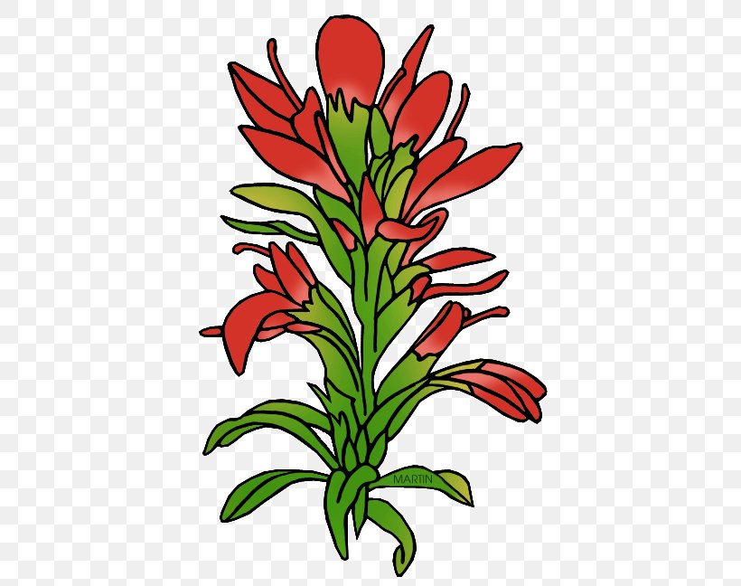 Wyoming Paintbrush Castilleja Linariifolia Clip Art, PNG, 406x648px, Wyoming, Artwork, Bluebonnet, Castilleja Linariifolia, Castilleja Miniata Download Free