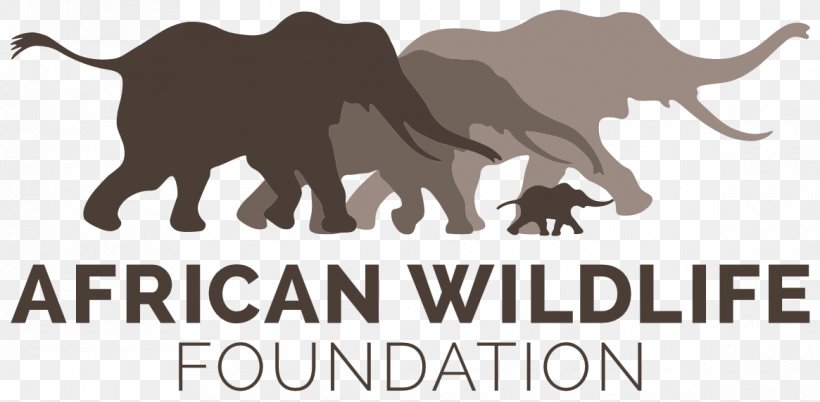 African Wildlife Foundation Kenya Organization Rhinoceros Conservation, PNG, 1165x572px, African Wildlife Foundation, Africa, Brand, Carnivoran, Company Download Free