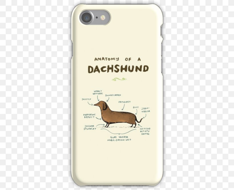 Dachshund Hot Dog Anatomy Pet Dog Breed, PNG, 500x667px, Dachshund, Anatomy, Art, Bluza, Breed Download Free