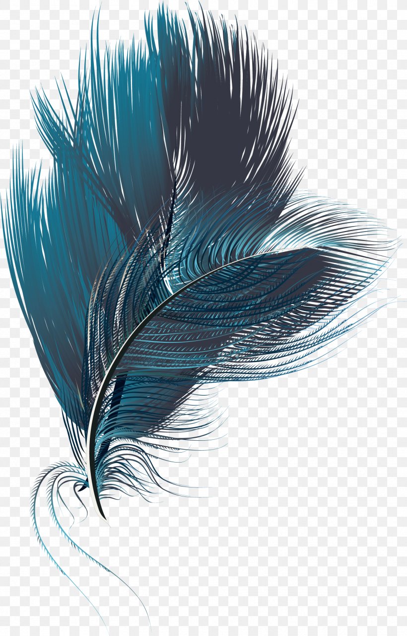 Feather Computer File, PNG, 1717x2681px, Feather, Blue, Plumage, Turquoise, Vecteur Download Free