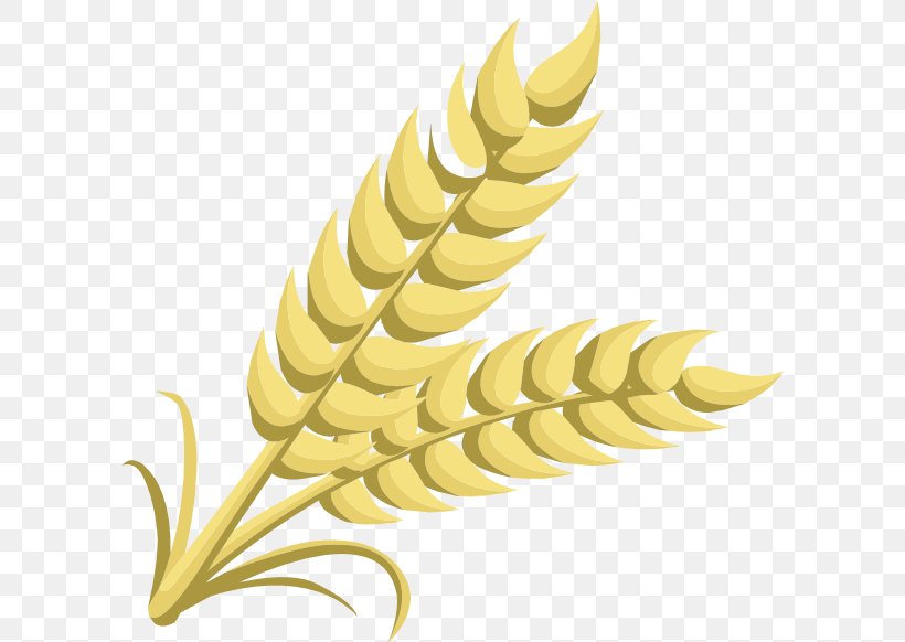 Grain Cereal Wheat Clip Art, PNG, 600x582px, Grain, Barley, Beer, Cereal, Commodity Download Free