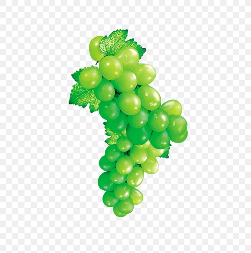Grape Fruit Icon, PNG, 516x826px, Grape, Food, Fruit, Grape Juice, Grapevine Family Download Free