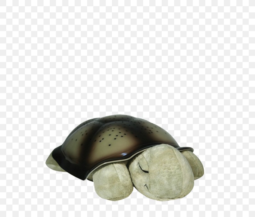 Turtle Nightlight Amazon.com Constellation, PNG, 600x700px, Turtle, Amazoncom, Bedroom, Cloud Computing, Constellation Download Free