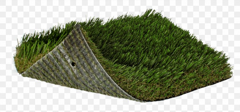 Artificial Turf Lawn Fescues Landscaping Garden, PNG, 2784x1308px, Artificial Turf, Backyard, Color, Crowngrass, Fescues Download Free