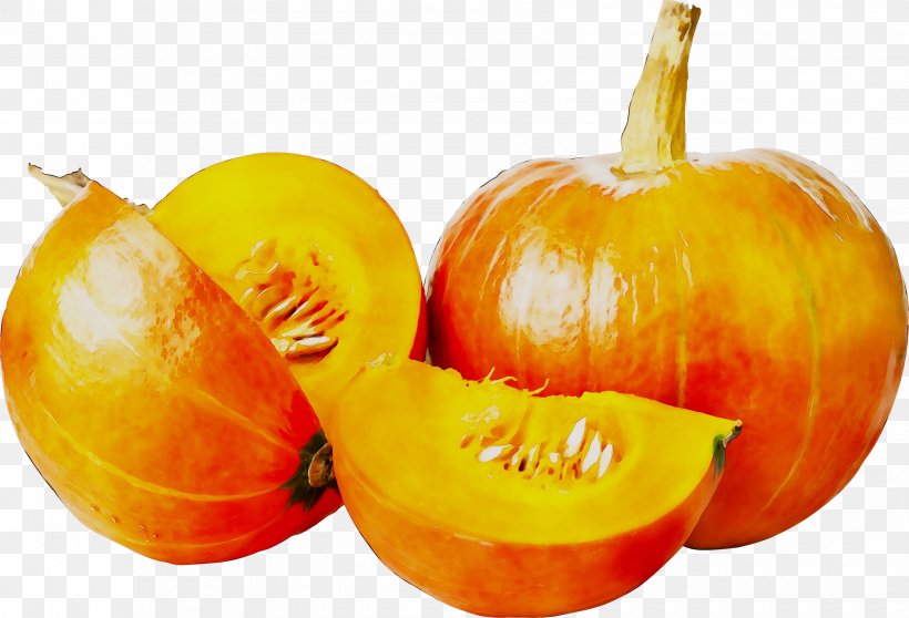 Butternut Squash Pumpkin Vegetarian Cuisine Gourd, PNG, 3360x2287px, Butternut Squash, Calabaza, Diet, Food, Fruit Download Free