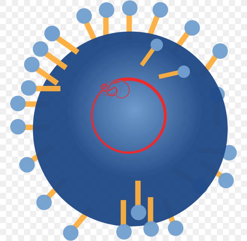 Clip Art, PNG, 752x800px, Rna, Rna Virus, Sky, Sphere, Virus Download Free