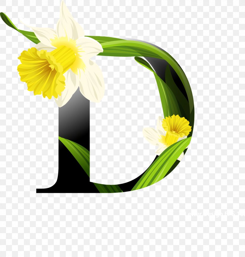 Flower Stock Photography Royalty-free, PNG, 1524x1600px, Flower, Alphabet, Amaryllis Family, Cut Flowers, Daffodil Download Free