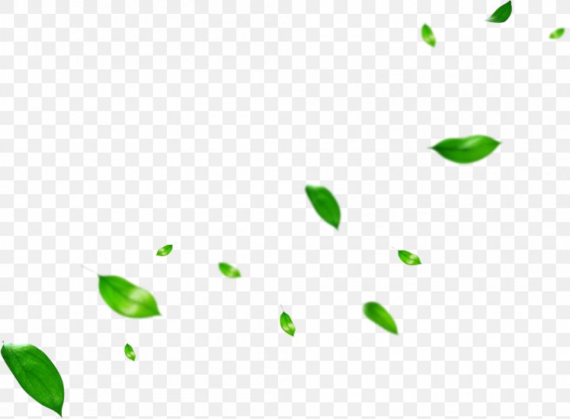Leaf Clip Art Plant Stem Image, PNG, 998x736px, Leaf, Branch, Computer, Grass, Green Download Free