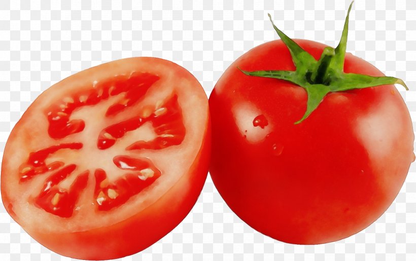 Tomato, PNG, 1647x1036px, Watercolor, Bush Tomato, Food, Fruit, Local Food Download Free