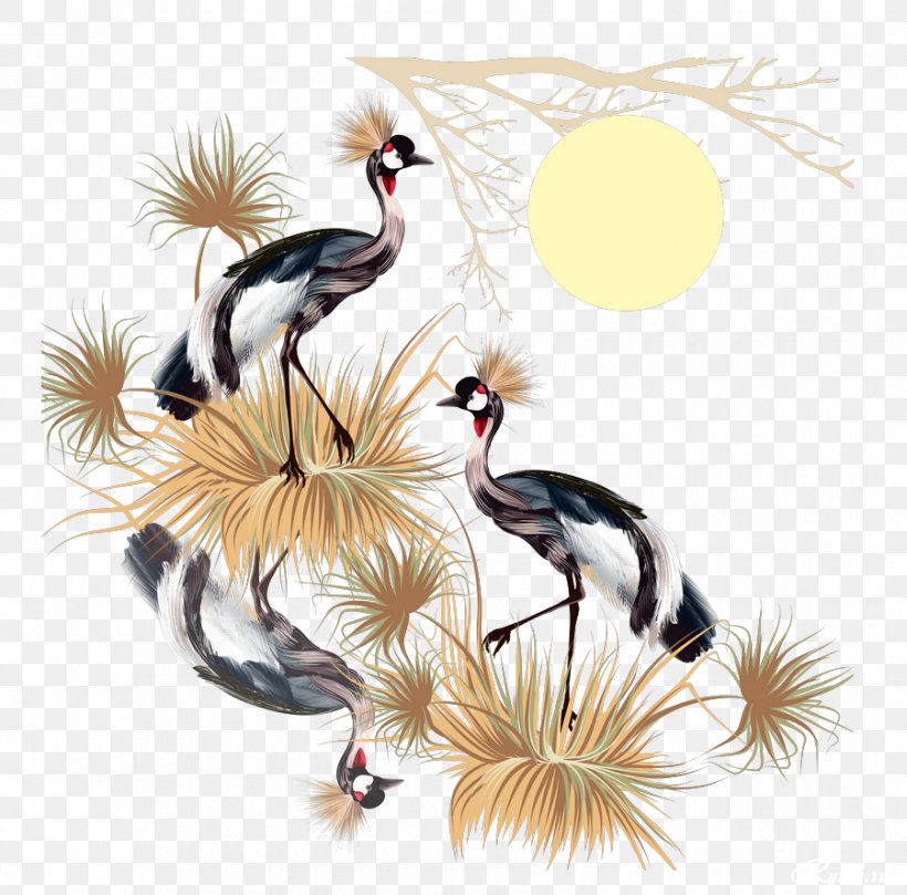 Crane Bird Drawing, PNG, 900x888px, Crane, Animal, Art, Beak, Bird Download Free