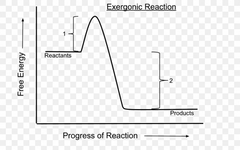 Exergonic Reaction Exergonic Process Chemical Reaction Spontaneous Process Activation Energy, PNG, 1024x642px, Exergonic Reaction, Activation, Activation Energy, Area, Black And White Download Free