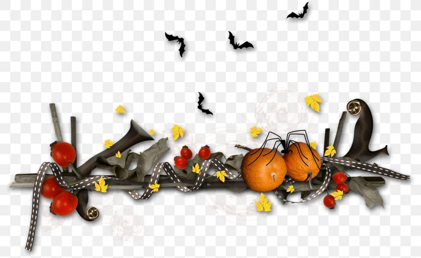 Halloween Clip Art Costume GIF, PNG, 800x503px, Halloween, Blog, Costume, Holiday, Insect Download Free