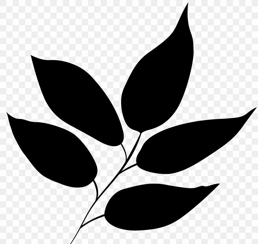 Leaf Plant Stem Flower Clip Art Pattern, PNG, 4941x4680px, Leaf, Black M, Blackandwhite, Botany, Branch Download Free