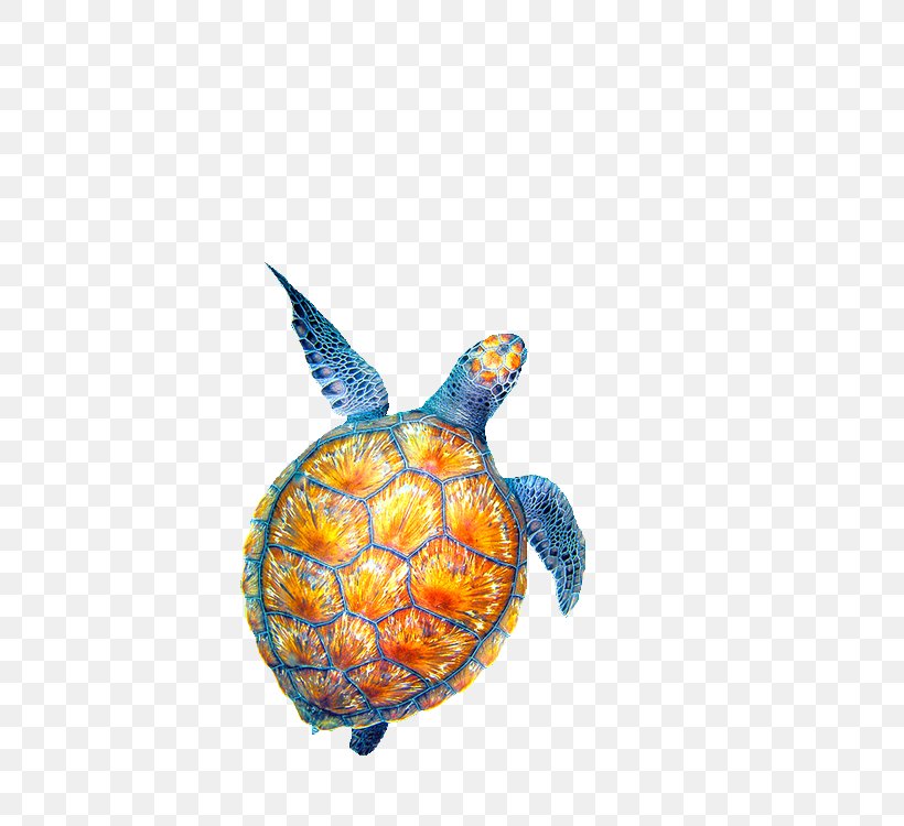 Sea Turtle Drawing, PNG, 500x750px, Turtle, Animal, Aquatic Animal, Box Turtle, Drawing Download Free